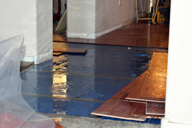 Professional Water Damage Restoration technician working in Tunica, LA